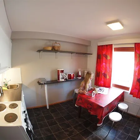 Borealis 2* روفانييمي