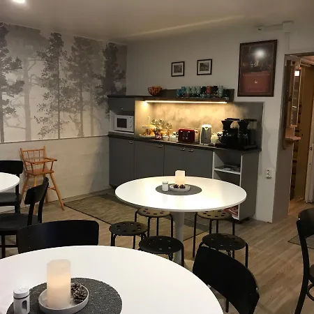 Pensjonat Borealis 2*