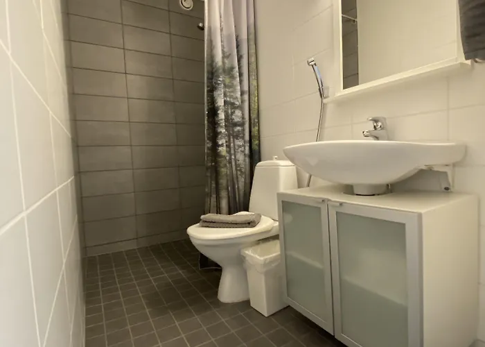 Penzion Borealis Rovaniemi